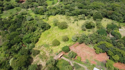 /international/cr/javilla-de-la-entrada-del-hogar-de-anciano-1-km-al-norte-y-800-m-este-canas-guanacaste-canas-guanacaste-province-310103225235/