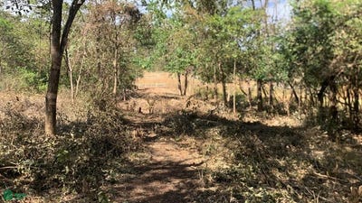 /international/cr/santa-rosa-tamarindo-santa-cruz-guanacaste-santa-cruz-guanacaste-province-310101108712/?lang=zh-cn