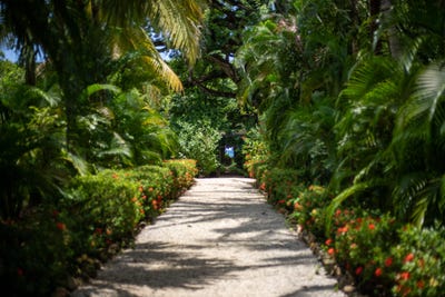 /international/cr/playa-pelada-nosara-guanacaste-nosara-guanacaste-province-310106549360/