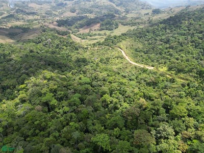 /international/cr/san-isidro-puntarenas-puntarenas-310107424832/