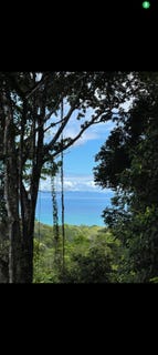 /international/cr/pavones-golfito-costa-rica-puntarenas-puntarenas-puntarenas-puntarenas-310099259247/