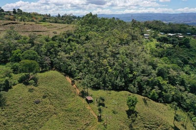 /international/cr/12-5-acre-riverfront-mountain-estate-with-valley-and-chirripo-views-san-francisco-san-jose-310105826237/