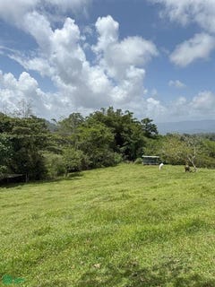 /international/cr/el-sauce-s-n-santa-teresita-turrialba-cartago-turrialba-cartago-province-310101206973/?lang=zh-cn