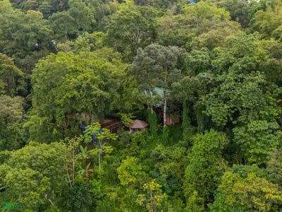 /international/cr/nauyaca-waterfalls-main-entrance-costa-rica-s-n-baru-perez-zeledon-san-jose-perez-zeledon-san-jose-310101417280/