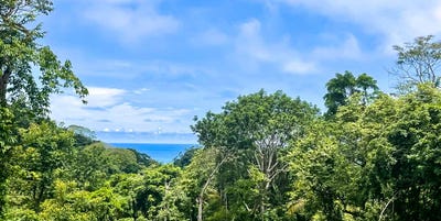 /international/cr/lot-surrounded-by-nature-at-santa-teresa-playa-carmen-santa-teresa-alajuela-province-310103003691/