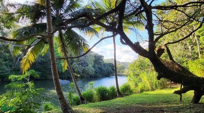 /international/cr/sonzapote-la-cruz-guanacaste-province-310106292733/