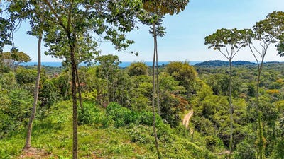 /international/cr/puntarenas-ojochal-costa-rica-ojochal-puntarenas-ojochal-puntarenas-province-310107834197/