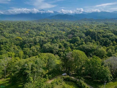 /international/cr/rainforest-creek-estate-quepos-puntarenas-310108528895/