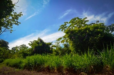 /international/cr/la-reserva-lot-39-playa-camaronal-guanacaste-province-310098386898/