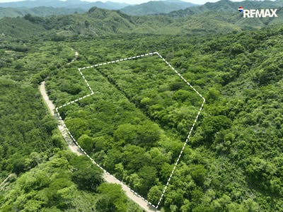 /international/cr/la-fresca-lepanto-puntarenas-lepanto-puntarenas-310108290990/