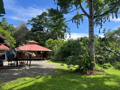 /international/cr/calle-paraiso-en-punta-uva-1-3km-antes-del-primer-puente-porton-de-madera-barrio-iriria-tercera-casa-a-la-izquierda-talamanca-limon-talamanca-limon-310100701938/?lang=id