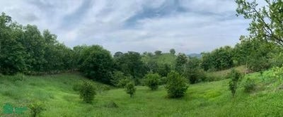 /international/cr/108-hojancha-guanacaste-province-310108564395/