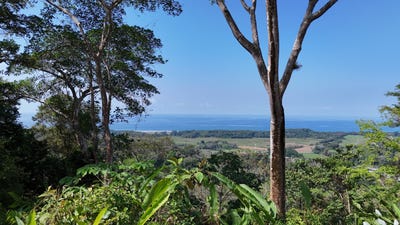 /international/cr/finca-vista-al-pacifico-71-acres-dominical-puntarenas-310101173045/