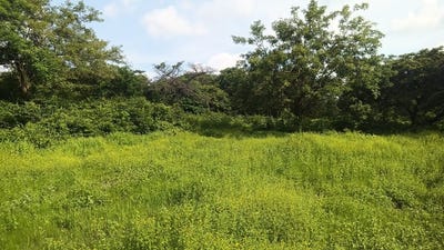 /international/cr/gravel-reinforced-lot-for-sale-with-direct-frontage-on-high-traffic-route-21-guardia-guanacaste-province-310101133585/?lang=zh-cn