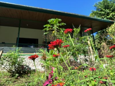 /international/cr/sustainable-living-farm-to-table-with-home-guest-house-tinamastes-on-the-river-tinamastes-san-jose-310107470757/