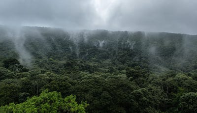 /international/cr/757-hectares-of-cloud-forest-for-sale-in-costa-rica-ideal-for-carbon-credits-conservation-and-wellness-development-san-ramon-alajuela-san-ramon-alajuela-province-310107887370/