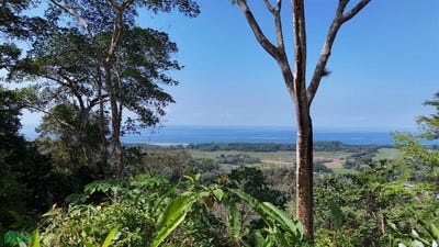 /international/cr/exceptional-71-acre-ocean-view-riverfront-development-property-in-hatillo-dominical-dominical-osa-puntarenas-osa-puntarenas-310101132656/?lang=zh-tw