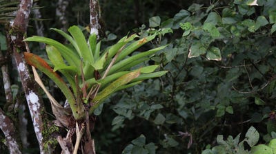 /international/cr/coto-brus-san-vito-san-vito-puntarenas-san-vito-puntarenas-310101110774/?lang=de