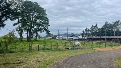 /international/cr/propiedad-de-uso-industrial-mixto-guadalupe-coris-cartago-countryside-development-parcel-for-sale-in-coris800-mts-al-oeste-de-dekkra-coris-cartago-province-310100992277/?lang=it