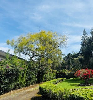 /international/cr/land-for-sale-for-development-in-escazu-costa-rica-san-antonio-san-jose-310105805971/