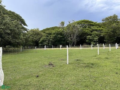 /international/cr/la-lucha-lote-7-la-cruz-la-cruz-guanacaste-la-cruz-guanacaste-province-310101321414/?lang=zh-tw