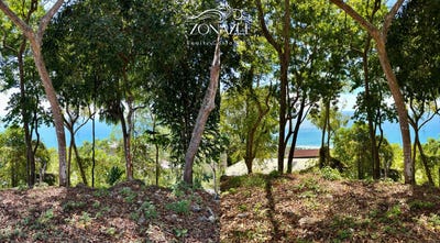 /international/cr/santa-teresa-beach-puntarenas-province-puntarenas-province-310107008512/
