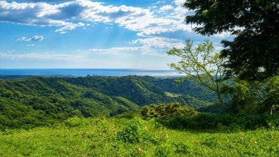 /international/cr/x8rj-5g-nosara-guanacaste-province-310108482699/