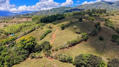 /international/cr/agricultural-land-for-sale-in-morazan-morazan-san-jose-310106858979/