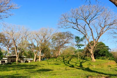 /international/cr/x86v-62-guanacaste-province-nosara-costa-rica-nicoya-guanacaste-province-120087659245/