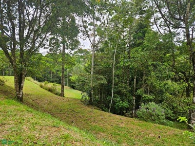 /international/cr/calle-lapas-la-tesalia-ciudad-quesada-san-carlos-alajuela-san-carlos-alajuela-province-310108601258/