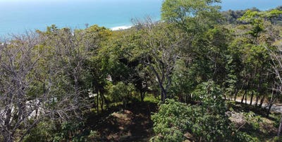 /international/cr/ocean-view-lot-near-the-heart-of-santa-teresa-santa-teresa-santa-teresa-alajuela-province-310107357940/