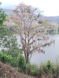 /international/cr/santiago-district-paraiso-cartago-province-310101173060/?lang=es