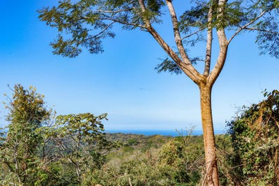 /international/cr/unnamed-road-nicoya-guanacaste-province-120088069083/