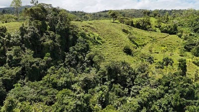 /international/cr/terreno-en-miraflores-perez-zeledon-costa-rica-mountain-home-construction-site-for-sale-in-general-viejo-general-viejo-san-jose-310101229217/?lang=zh-tw