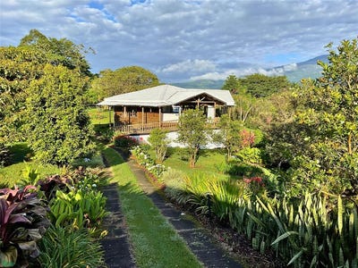 /international/cr/verbena-norte-santa-cruz-cartago-province-310108006407/