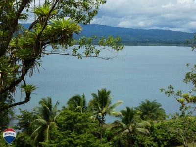 /international/cr/osa-osa-puntarenas-osa-puntarenas-310102490673/