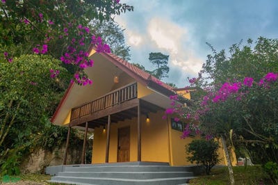 /international/cr/casa-amapola-rivas-perez-zeledon-san-jose-rivas-san-jose-310103615153/
