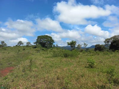 /international/cr/cobano-cobano-puntarenas-310108868430/