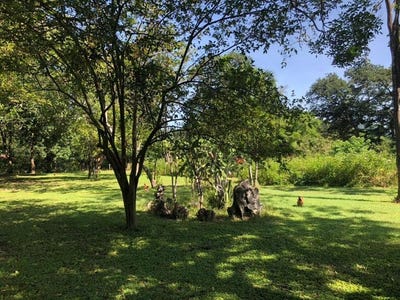 /international/cr/huge-dream-cattle-farm-for-sale-with-2-houses-close-to-the-gulf-of-nicoya-guanacaste-costa-ricacopal-quebrada-honda-nicoya-guanacaste-costa-rica-copal-guanacaste-province-120037579137/