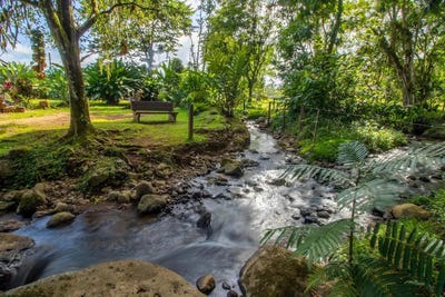 /international/cr/f8gq-g49-c-508-provincia-de-alajuela-san-carlos-costa-rica-la-fortuna-alajuela-province-310094055743/