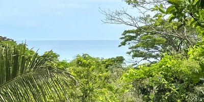 /international/cr/large-ocean-view-lot-at-santiago-santa-teresa-alajuela-province-310103039415/