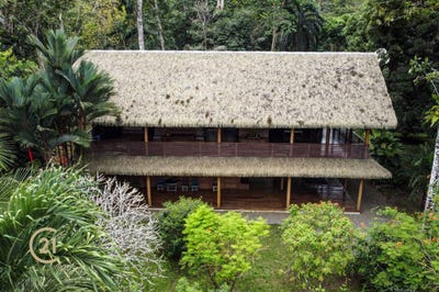 /international/cr/playa-grande-de-cahuita-limon-talamanca-cahuita-playa-grande-limon-province-310097486372/