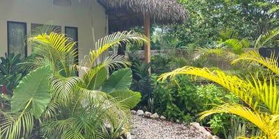/international/cr/three-balinese-bungalows-steps-from-the-beach-cabuya-santa-teresa-alajuela-province-310102411506/