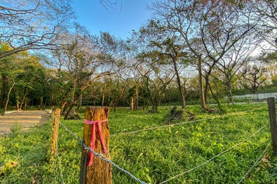/international/cr/x86v-h9v-del-mar-pathway-provincia-de-guanacaste-nosara-costa-rica-nicoya-guanacaste-province-120088470121/