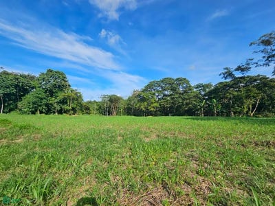 /international/cr/fortuna-fortuna-san-carlos-alajuela-san-carlos-alajuela-province-310100603045/