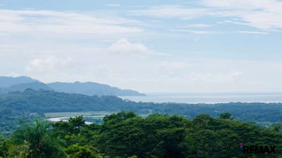 /international/cr/directly-across-from-carara-national-park-tarcoles-puntarenas-puntarenas-puntarenas-puntarenas-310104135273/