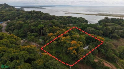 /international/cr/costanera-ruta-34-puerto-cortes-osa-puntarenas-osa-puntarenas-310107529492/