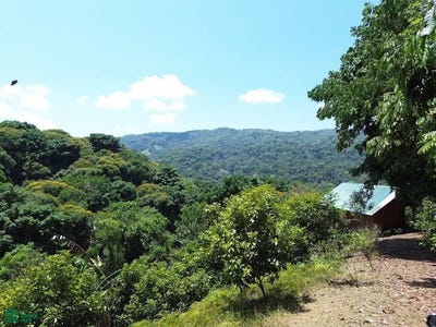 /international/cr/-bahia-ballena-osa-puntarenas-osa-puntarenas-310103660611/