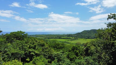 /international/cr/coyote-nandayure-guanacaste-nandayure-guanacaste-province-310107375792/