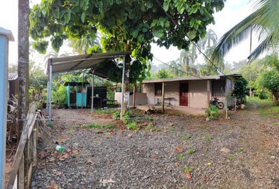 /international/cr/osa-osa-puntarenas-osa-puntarenas-310096730384/